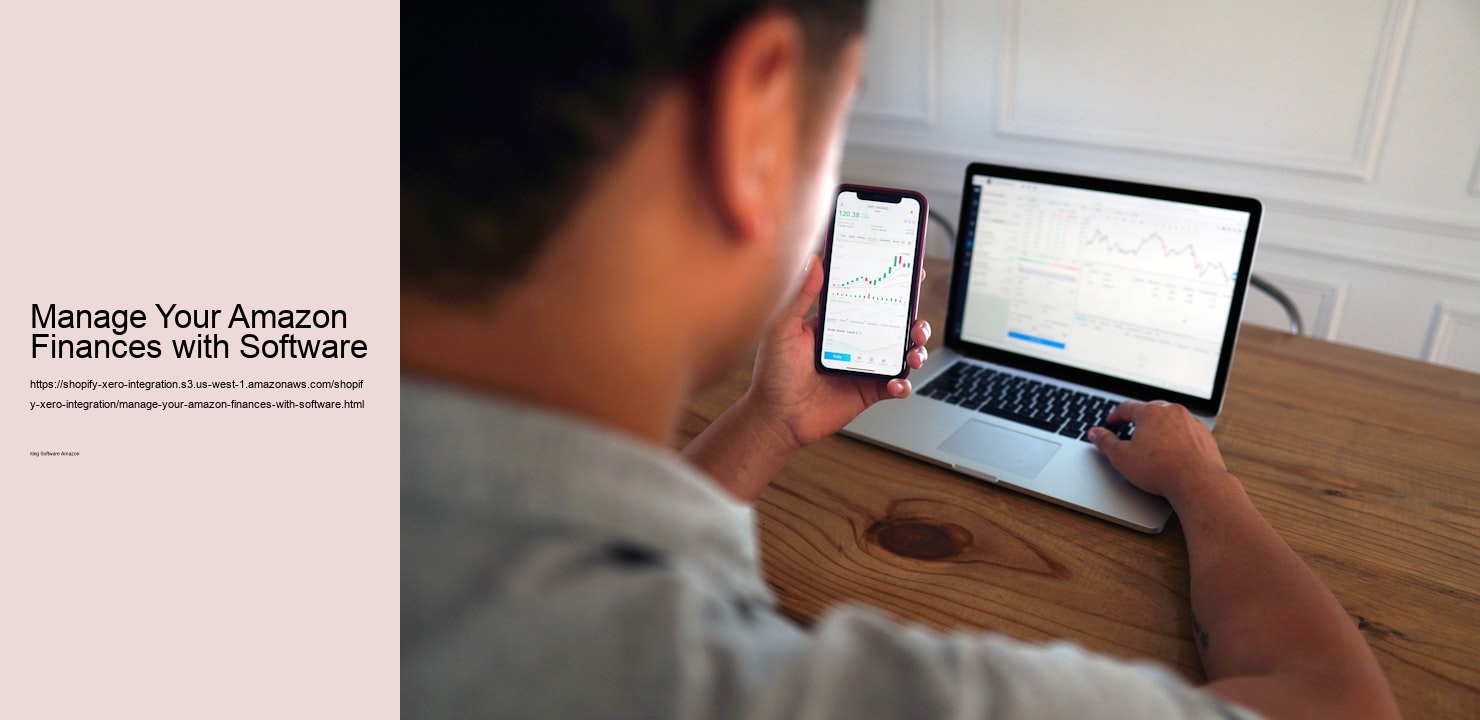 Manage Your Amazon Finances with Software