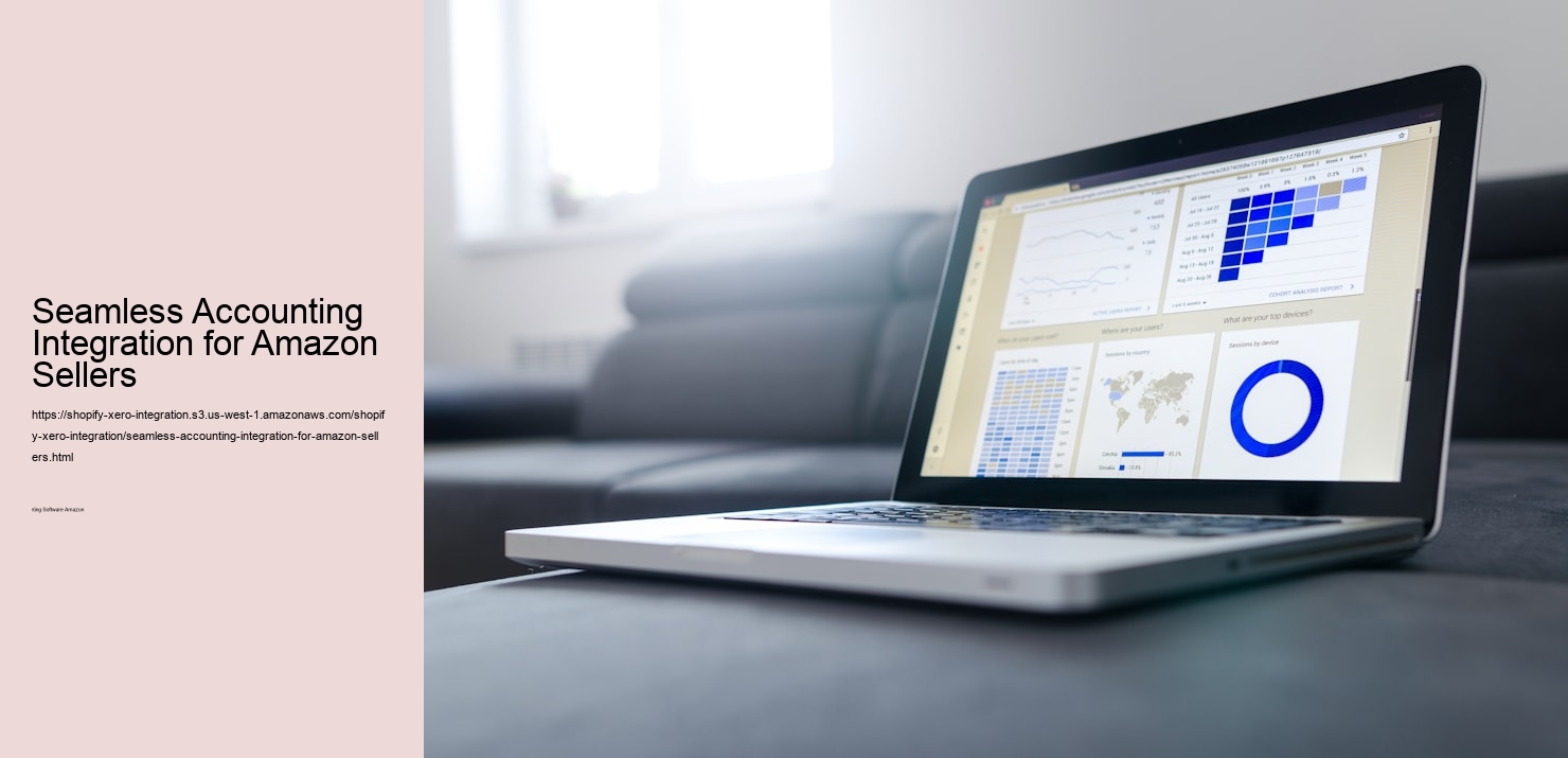 Seamless Accounting Integration for Amazon Sellers